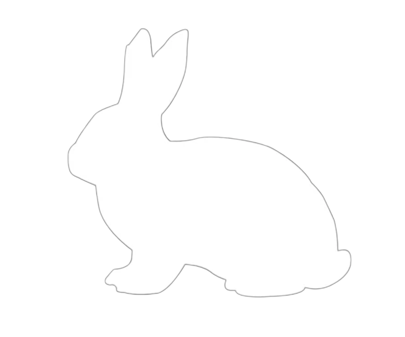 Follow the white rabbit Follow the white rabbit
